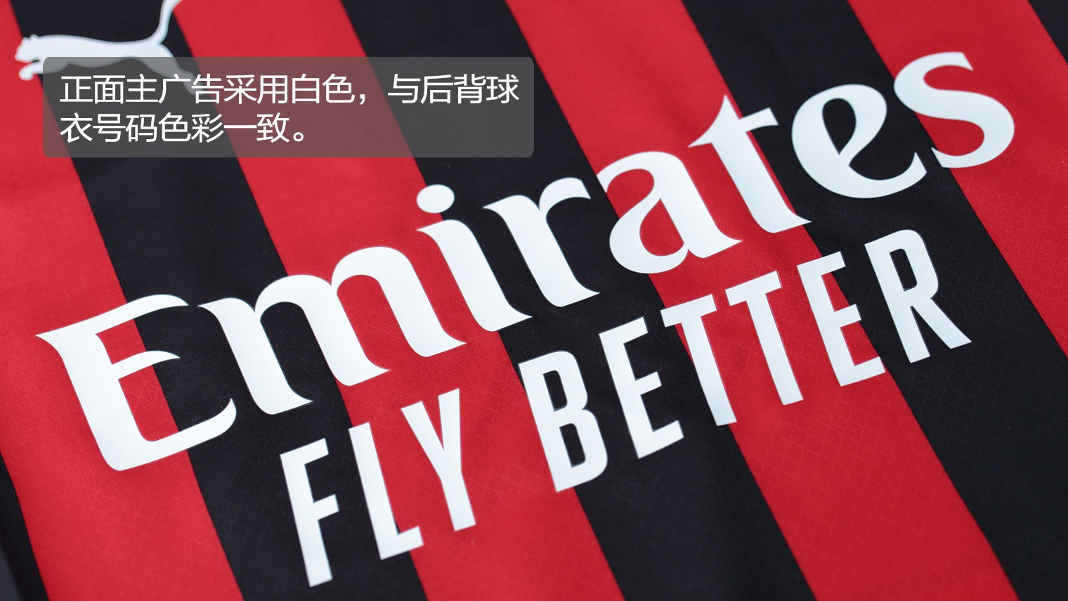 确定中辨识 确定中辨识